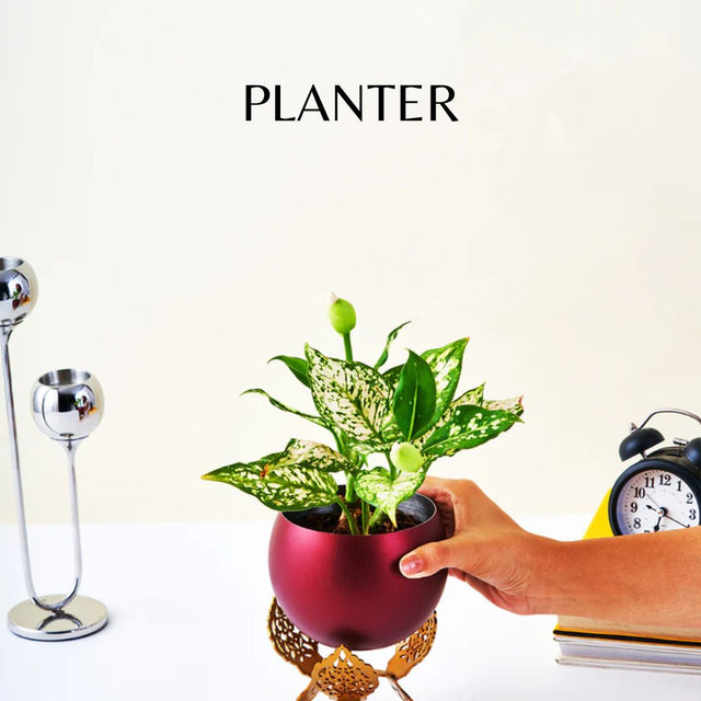 Planter