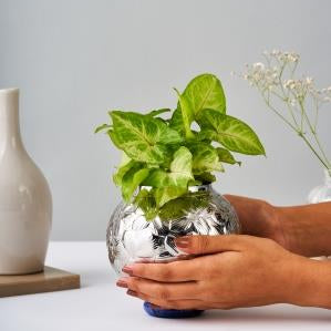 Leaf Vase Large – Elegant Stainless Steel Home Decor