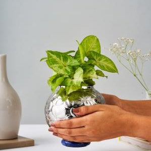 Leaf Vase Large – Elegant Stainless Steel Home Decor