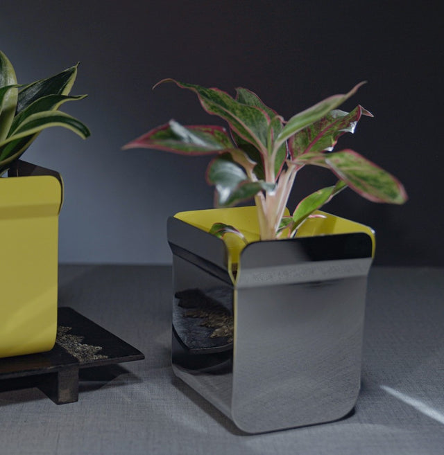 Planter