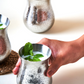 Jade Tumbler | Set of 6