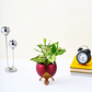 Aladdin Red Planter
