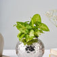Leaf Vase Large – Elegant Stainless Steel Home Decor
