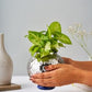 Leaf Vase Large – Elegant Stainless Steel Home Decor