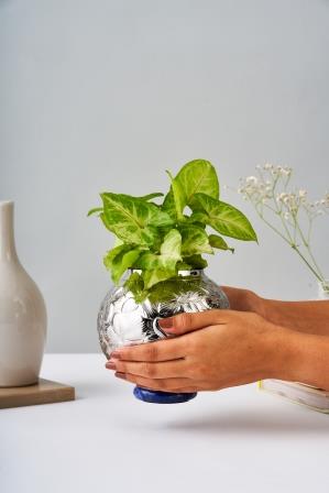 Leaf Vase Large – Elegant Stainless Steel Home Decor